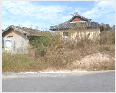  2023Ÿ��38460  �����