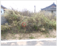  2023Ÿ��38460  �����