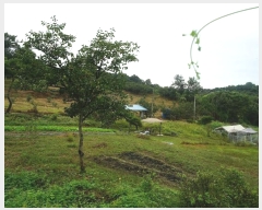  2023Ÿ38750  ֽ ϻ걸 õ2 160-3      ()