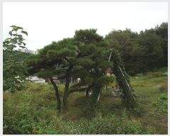  2023Ÿ38750  ֽ ϻ걸 õ2 160-3      ()