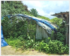  2023Ÿ��3600 ���� ���ֱ� �Ҿ�� ���︮ 773-8      �ܵ�����,�����ð��