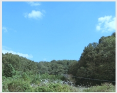  2023Ÿ��6029  �Ӿ߰��