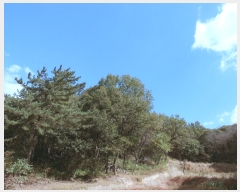  2023Ÿ��6029  �Ӿ߰��