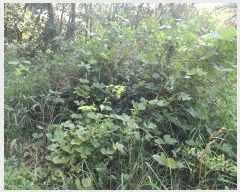  2023Ÿ��6029  �Ӿ߰��