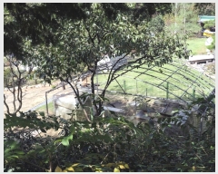  2023Ÿ��6029  �Ӿ߰��