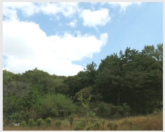  2023Ÿ��6029  �Ӿ߰��