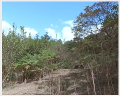  2023Ÿ��6029  �Ӿ߰��