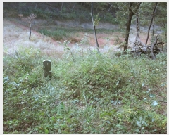  2023Ÿ��6029  �Ӿ߰��