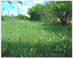  2023Ÿ��2591  ���ð��