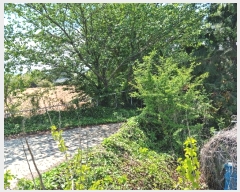  2023Ÿ��2591  ���ð��