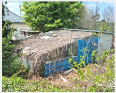  2023Ÿ��2591  ���ð��