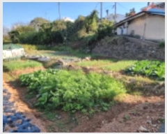  2023Ÿ��25795 ���� ����� ��� 603-3       ����(����)���