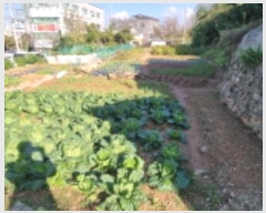  2023Ÿ��25795 ���� ����� ��� 603-3       ����(����)���