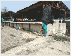  2023Ÿ��33041  ������