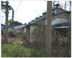  2023Ÿ��33041  ������