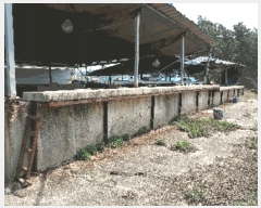  2023Ÿ��33041  ������