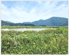  2023Ÿ2412 â  1        ǰ