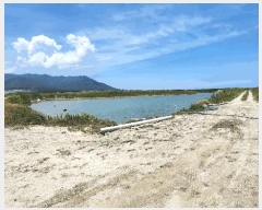  2023Ÿ2412 â  1        ǰ