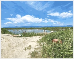  2023Ÿ2412 â  1        ǰ