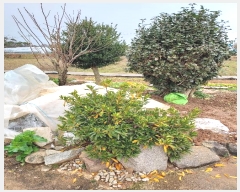  2023Ÿ��2542 ���� �ξȱ� ������ ������ ��5-15      ����(�Ӿ�)���