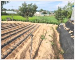  2023Ÿ��2542 ���� �ξȱ� ������ ������ ��5-15      ����(�Ӿ�)���