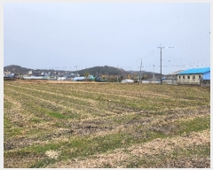  2023Ÿ��33058  ����