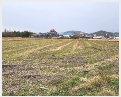  2023Ÿ��33058  ����