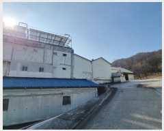  2023Ÿ��31826  ������