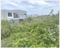  2023Ÿ��3188 ���� ���ֽ� ��õ�� ��õ�� 3253-4      ����(��1)���