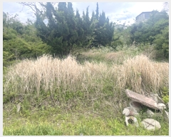  2023Ÿ��3188 ���� ���ֽ� ��õ�� ��õ�� 3253-4      ����(��1)���