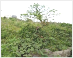  2023Ÿ��3188 ���� ���ֽ� ��õ�� ��õ�� 3253-4      ����(��1)���