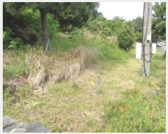  2023Ÿ��3188 ���� ���ֽ� ��õ�� ��õ�� 3253-4      ����(��1)���