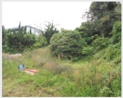  2023Ÿ��3188 ���� ���ֽ� ��õ�� ��õ�� 3253-4      ����(��1)���