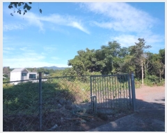  2023Ÿ9025    448-5       (1)