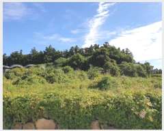  2023Ÿ9025    448-5       (1)