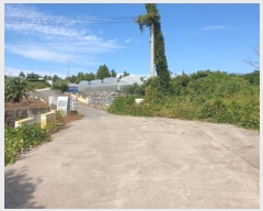  2023Ÿ9025    448-5       (1)