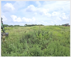  2023Ÿ��8565 ���� ���ֽ� ������ ��븮 558-1      ����(��1)���