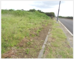  2023Ÿ��8565 ���� ���ֽ� ������ ��븮 558-1      ����(��1)���