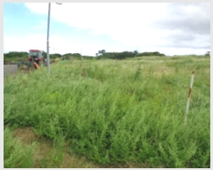  2023Ÿ��8565 ���� ���ֽ� ������ ��븮 558-1      ����(��1)���