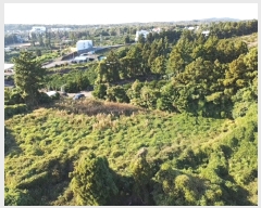  2023Ÿ��10223 ���� �������� �ȴ��� ȭ���� 1424      ����(��1)���