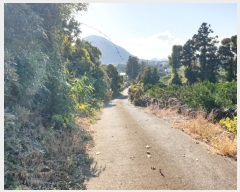  2023Ÿ��10223 ���� �������� �ȴ��� ȭ���� 1424      ����(��1)���