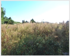  2023Ÿ��10223 ���� �������� �ȴ��� ȭ���� 1424      ����(��1)���