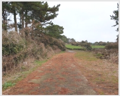  2023Ÿ��12564  �Ӿ߰��