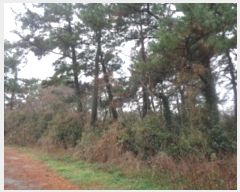  2023Ÿ��12564  �Ӿ߰��