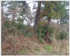  2023Ÿ��12564  �Ӿ߰��