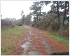  2023Ÿ��12564  �Ӿ߰��