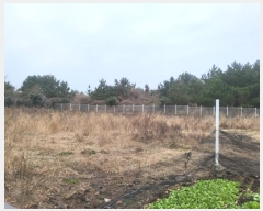  2023Ÿ12649  ֽ ֿ ұ渮 155-22      ٸü,󰡰