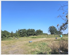  2023Ÿ��28613 ���� ���ֽ� �ֿ��� ������ 1017      ����(��1)���