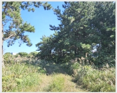  2023Ÿ��28613 ���� ���ֽ� �ֿ��� ������ 1017      ����(��1)���