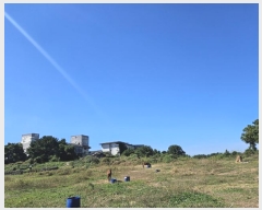  2023Ÿ��28613 ���� ���ֽ� �ֿ��� ������ 1017      ����(��1)���